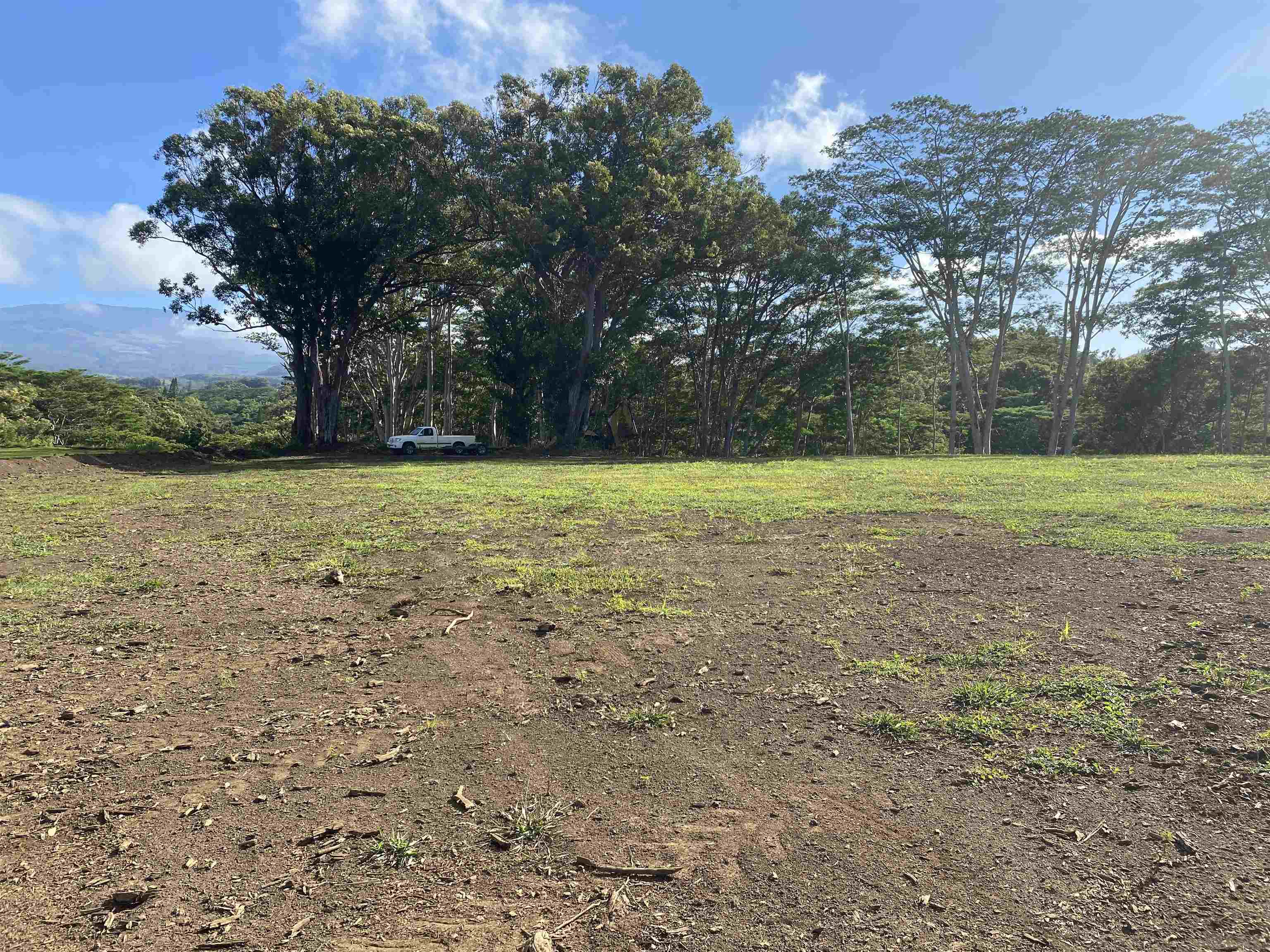 480 East Kuiaha Road Haiku, HI 96708 - Photo 3 of 23 a view of a field with an trees