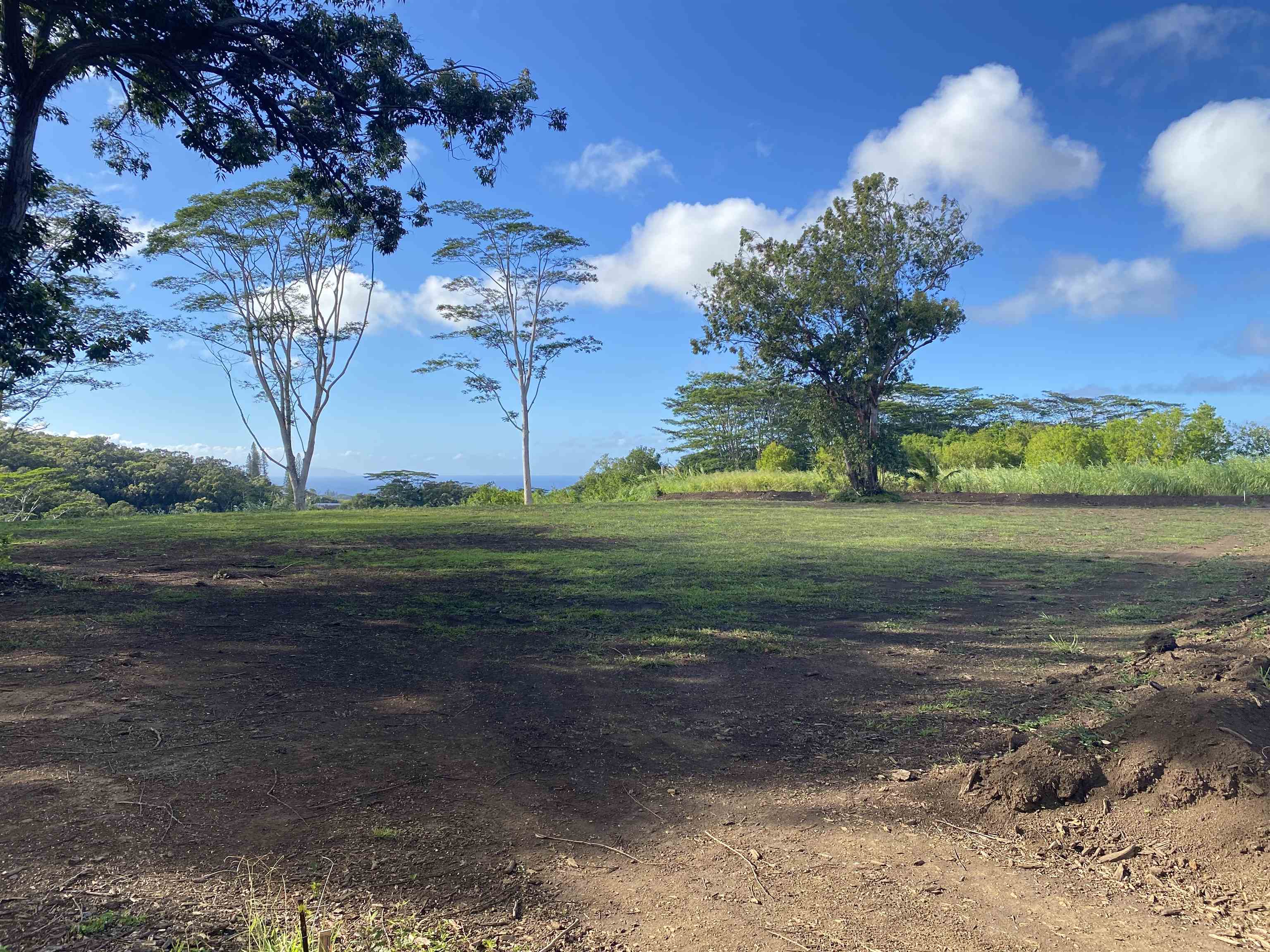 480 East Kuiaha Road Haiku, HI 96708 - Photo 4 of 23 a view of a yard