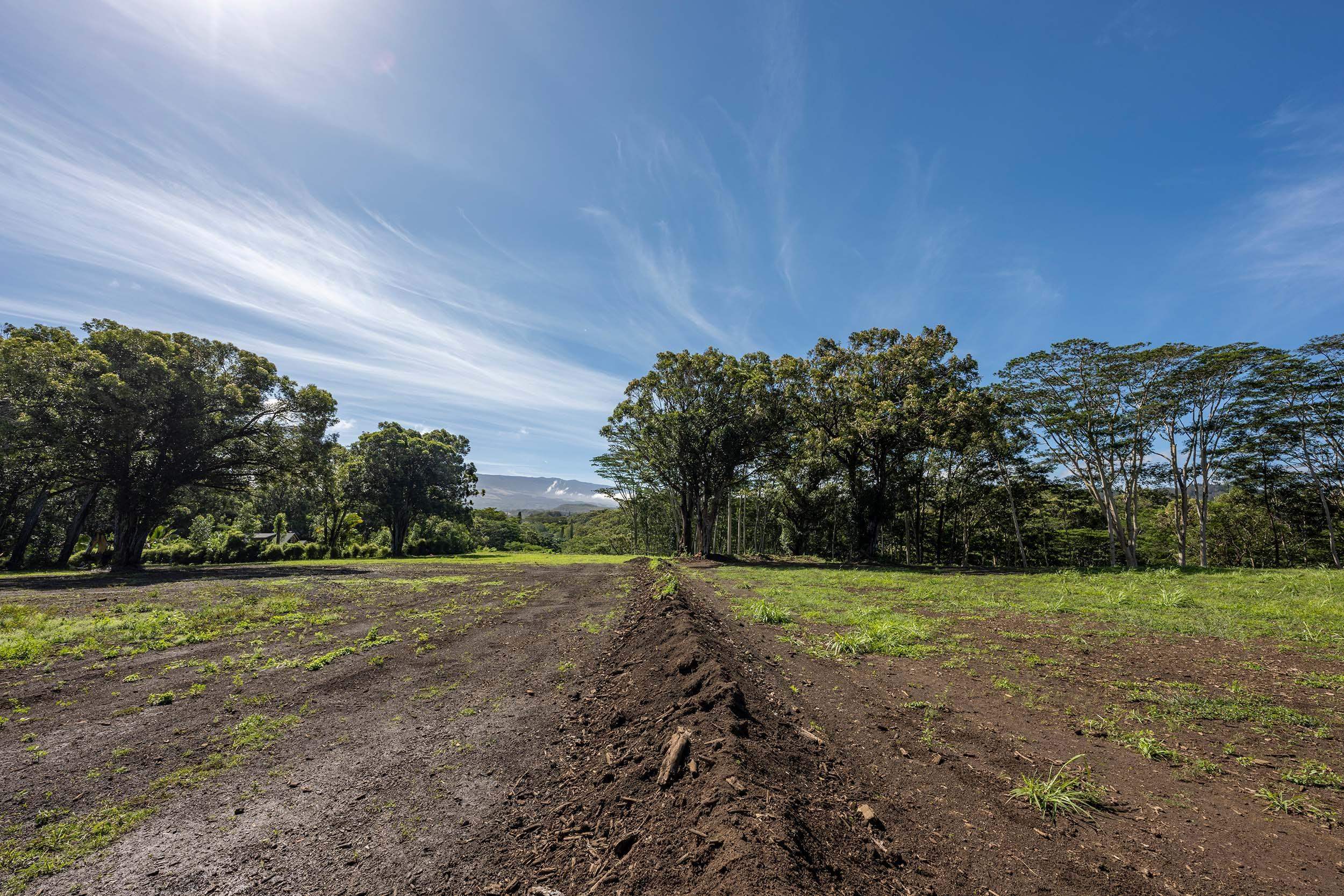 480 East Kuiaha Road Haiku, HI 96708 - Photo 5 of 23 a view of a field with trees in background