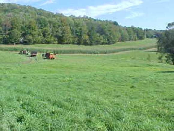 Waite Hill Road Pawlet, VT 05761 - Photo 1 of 1 Gallery Image 1