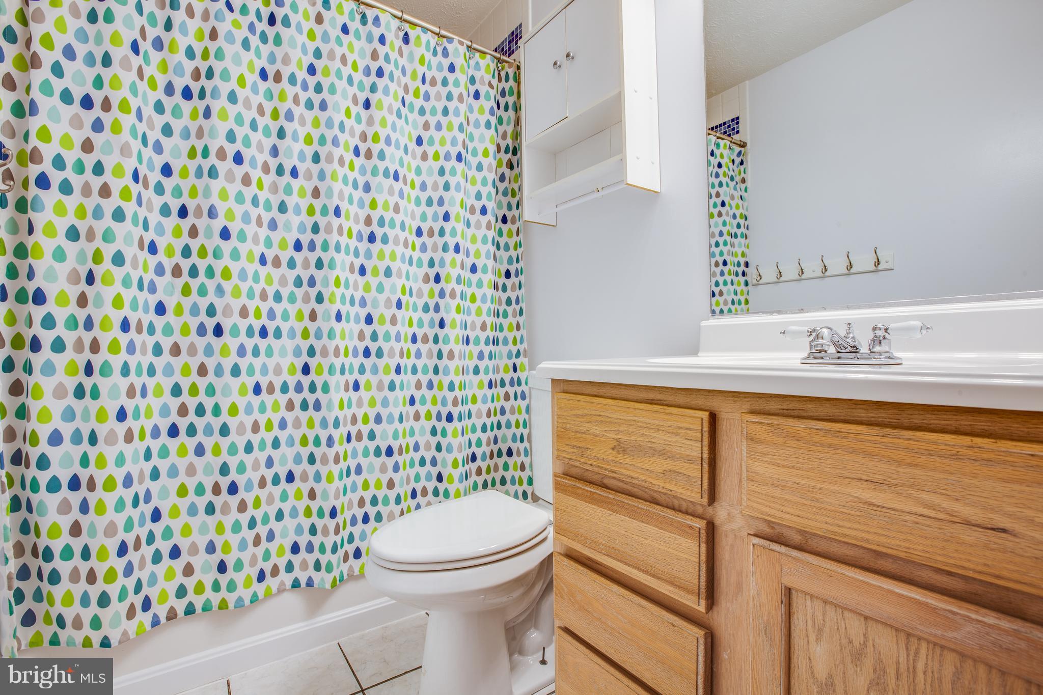 217 Cedar Ridge Drive Ruther Glen, VA 22546 - Photo 14 of 30 Bath