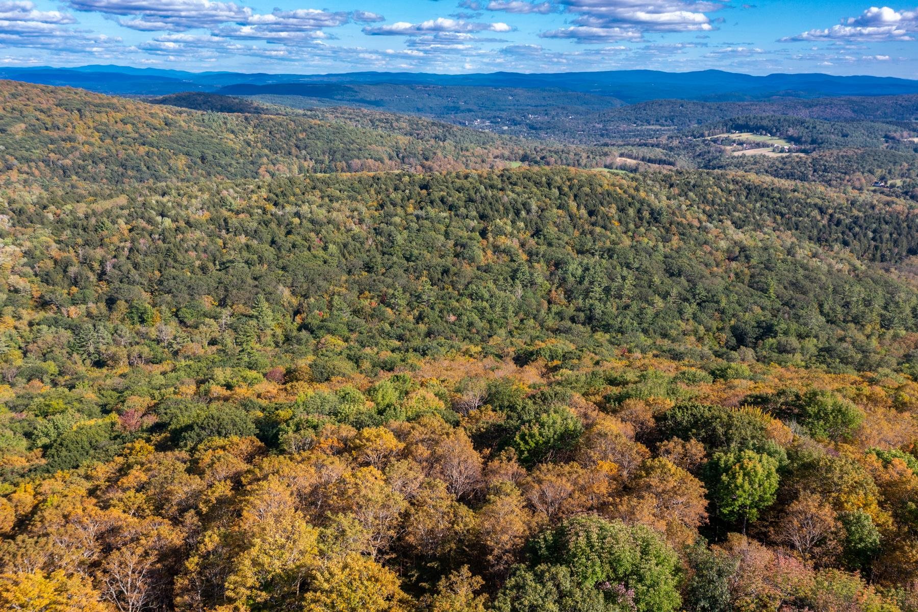 0 Granite Ledge Woodstock, VT 05091 - Photo 12 of 37