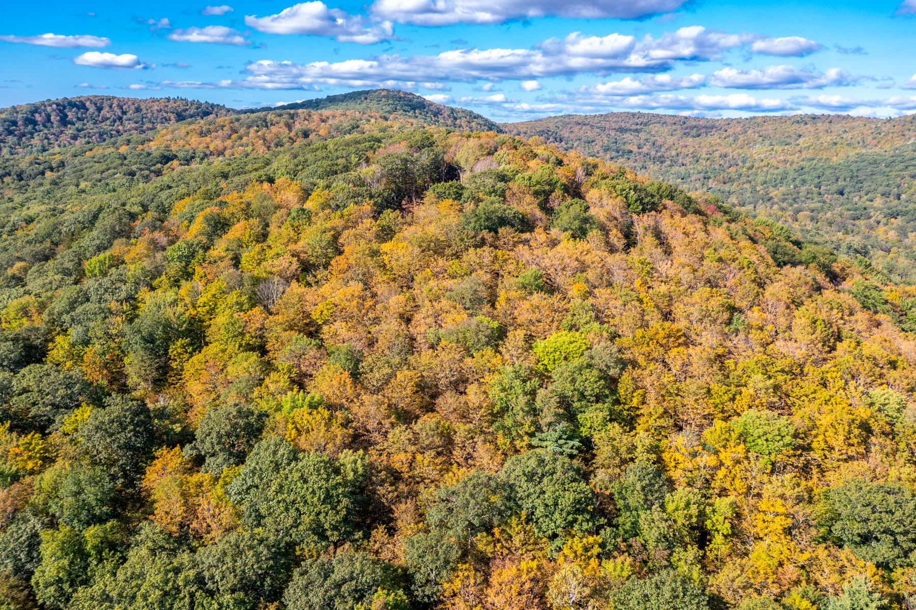 0 Granite Ledge Woodstock, VT 05091 - Photo 14 of 37
