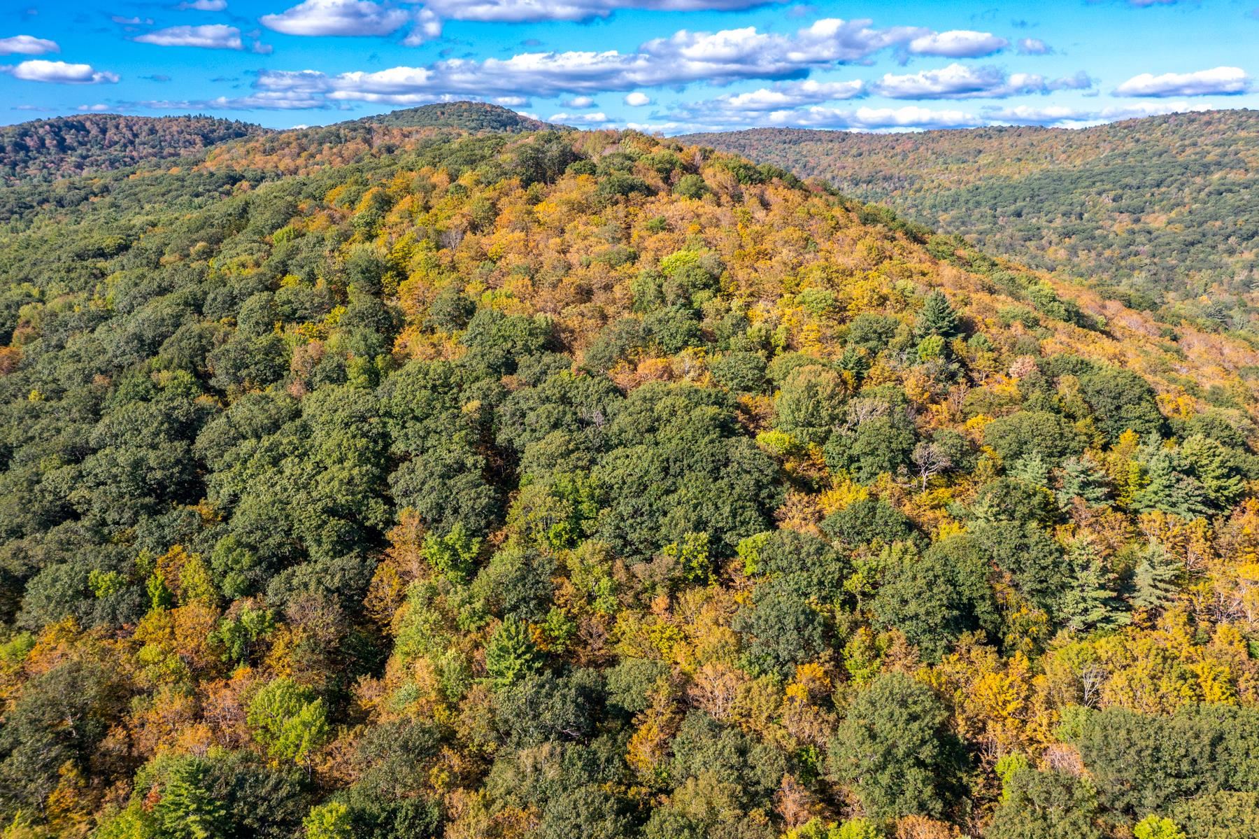 0 Granite Ledge Woodstock, VT 05091 - Photo 15 of 37