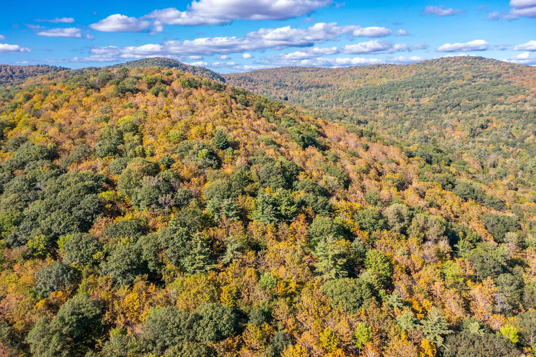 0 Granite Ledge Woodstock, VT 05091 - Photo 16 of 37