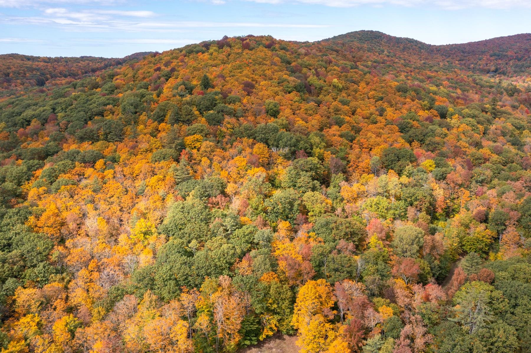 0 Granite Ledge Woodstock, VT 05091 - Photo 20 of 37