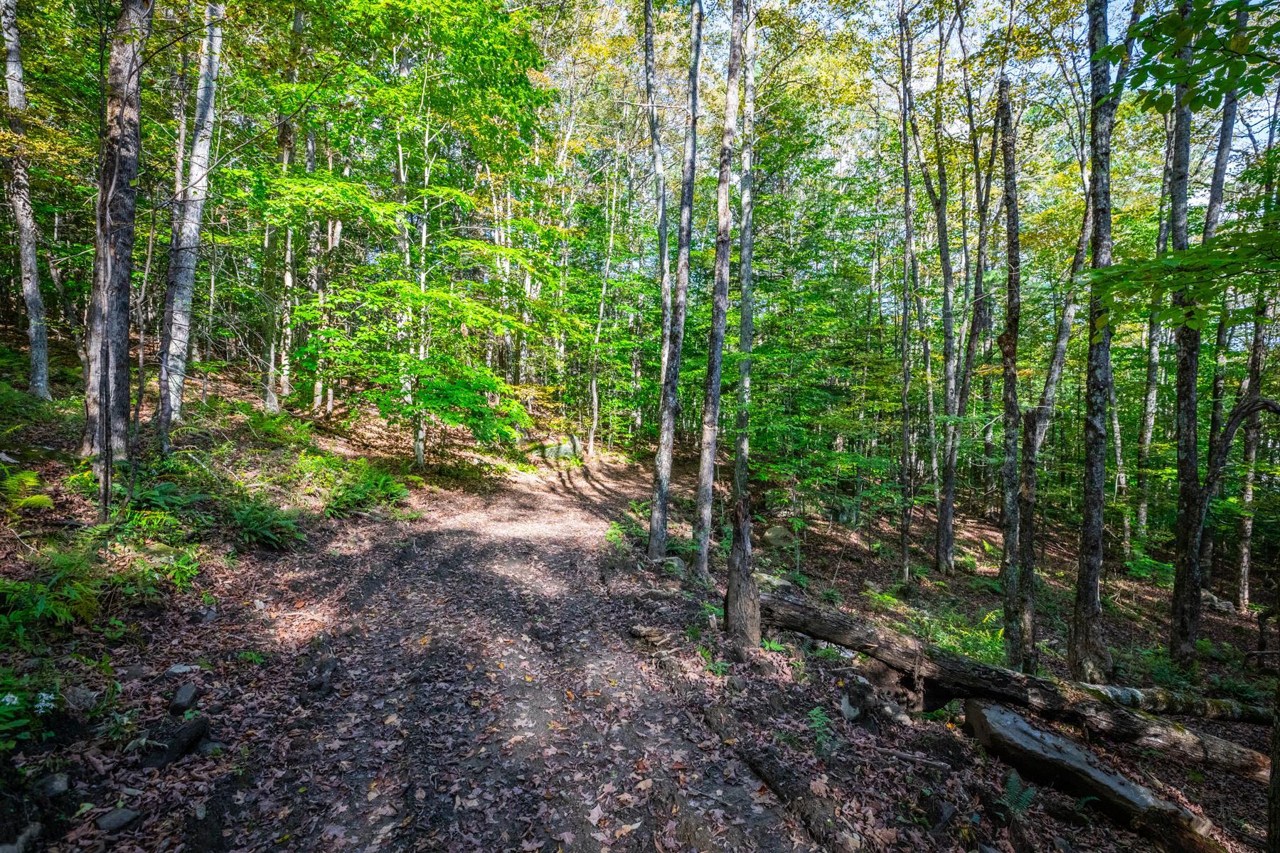 0 Granite Ledge Woodstock, VT 05091 - Photo 2 of 37