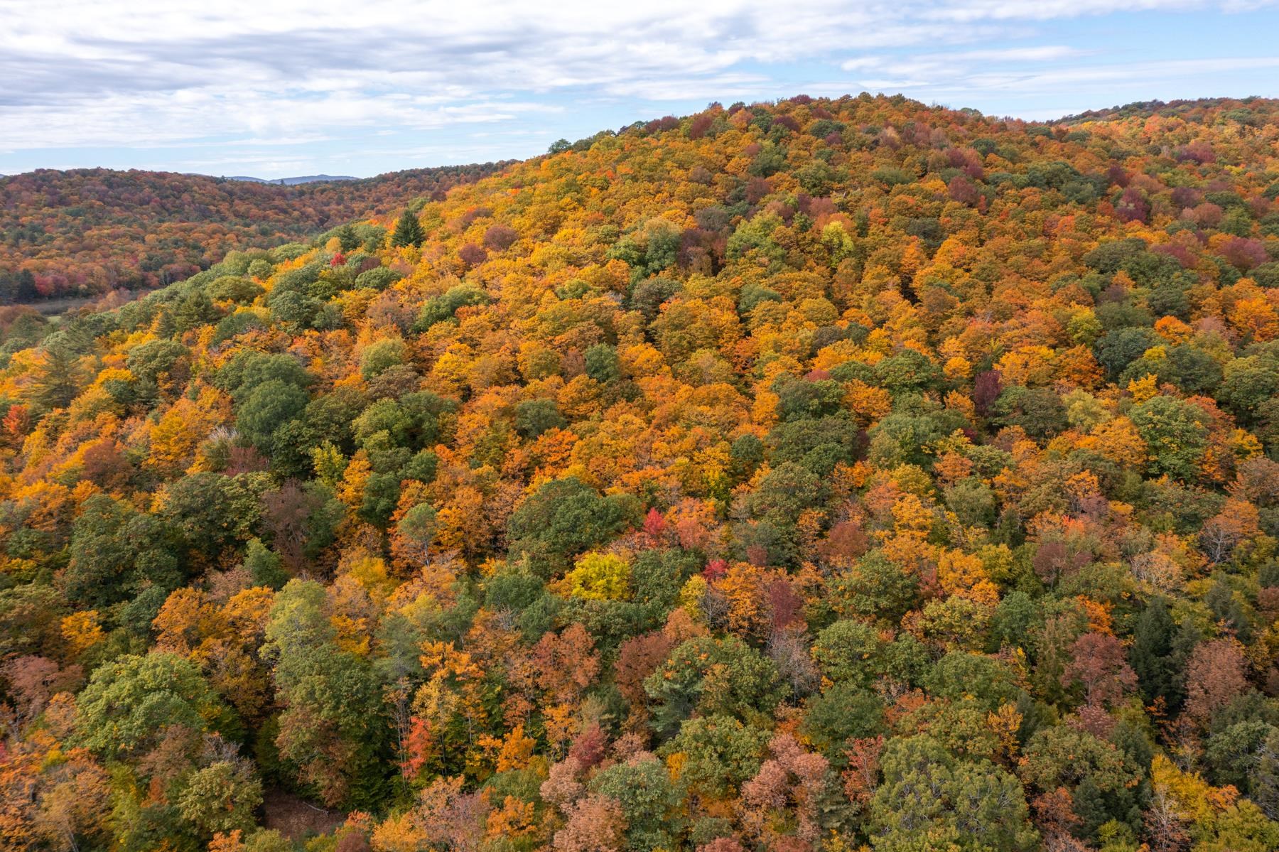 0 Granite Ledge Woodstock, VT 05091 - Photo 25 of 37