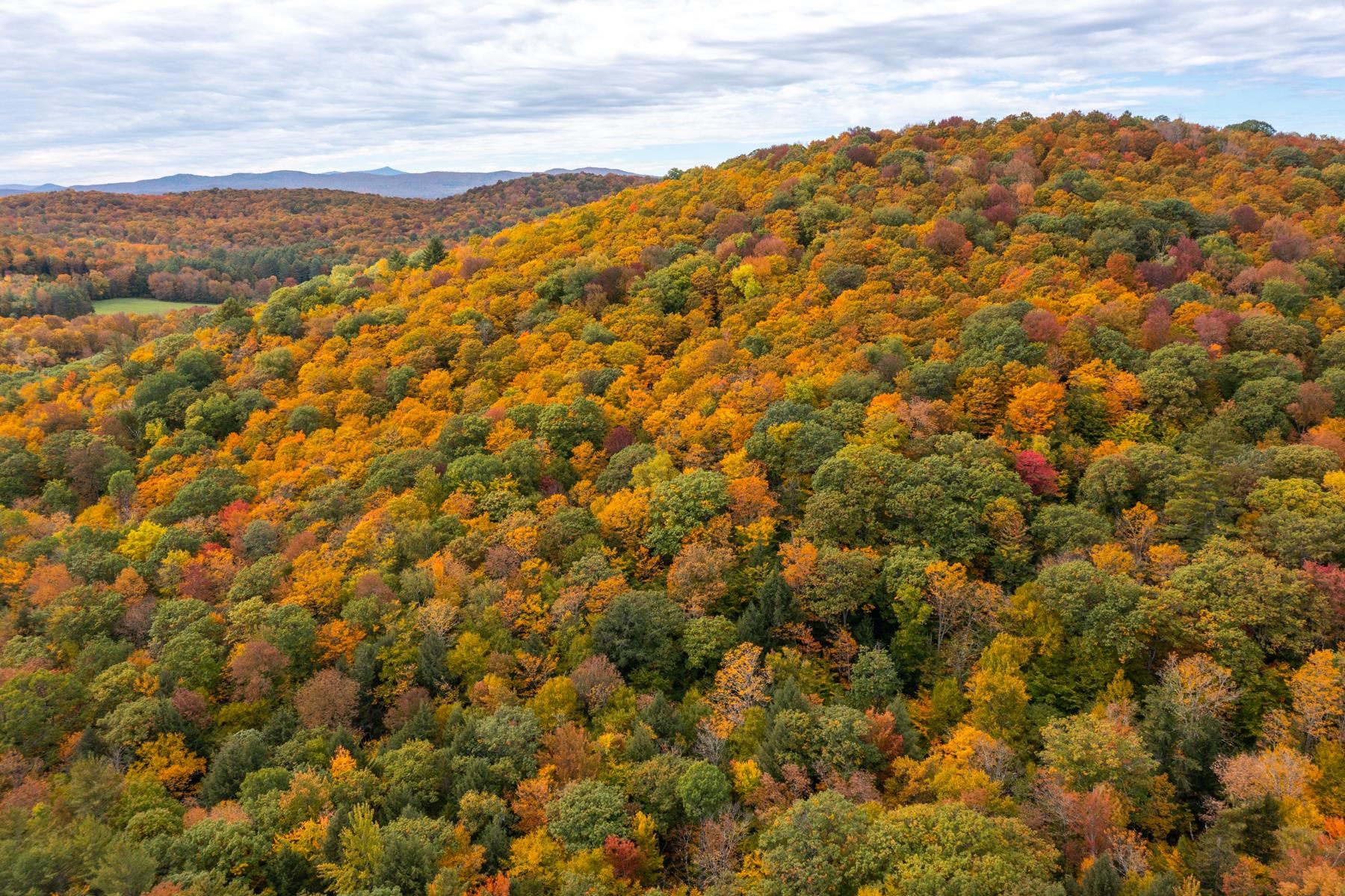 0 Granite Ledge Woodstock, VT 05091 - Photo 26 of 37