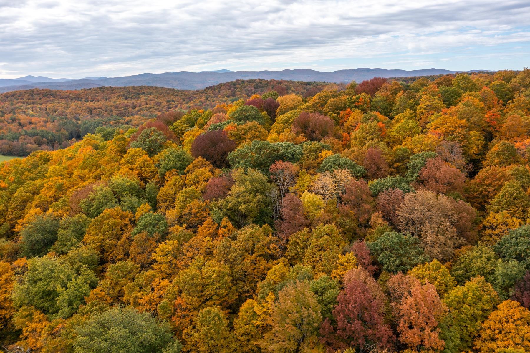 0 Granite Ledge Woodstock, VT 05091 - Photo 29 of 37