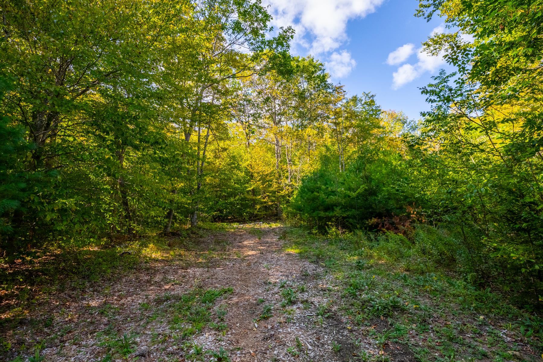 0 Granite Ledge Woodstock, VT 05091 - Photo 3 of 37
