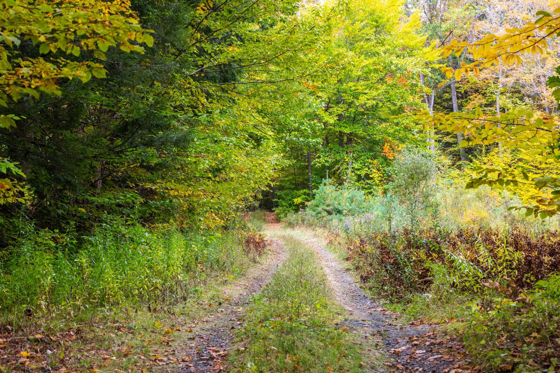 0 Granite Ledge Woodstock, VT 05091 - Photo 37 of 37
