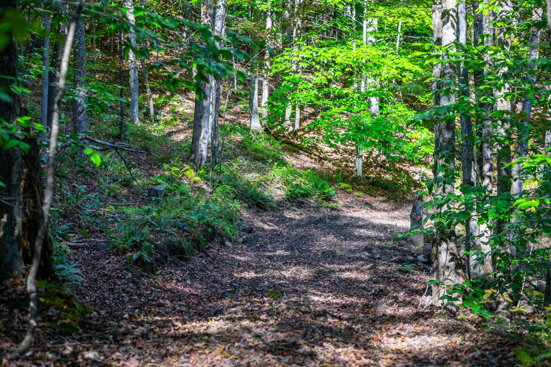 0 Granite Ledge Woodstock, VT 05091 - Photo 6 of 37