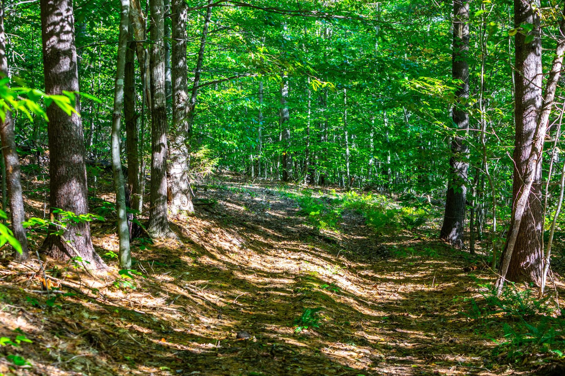 0 Granite Ledge Woodstock, VT 05091 - Photo 7 of 37