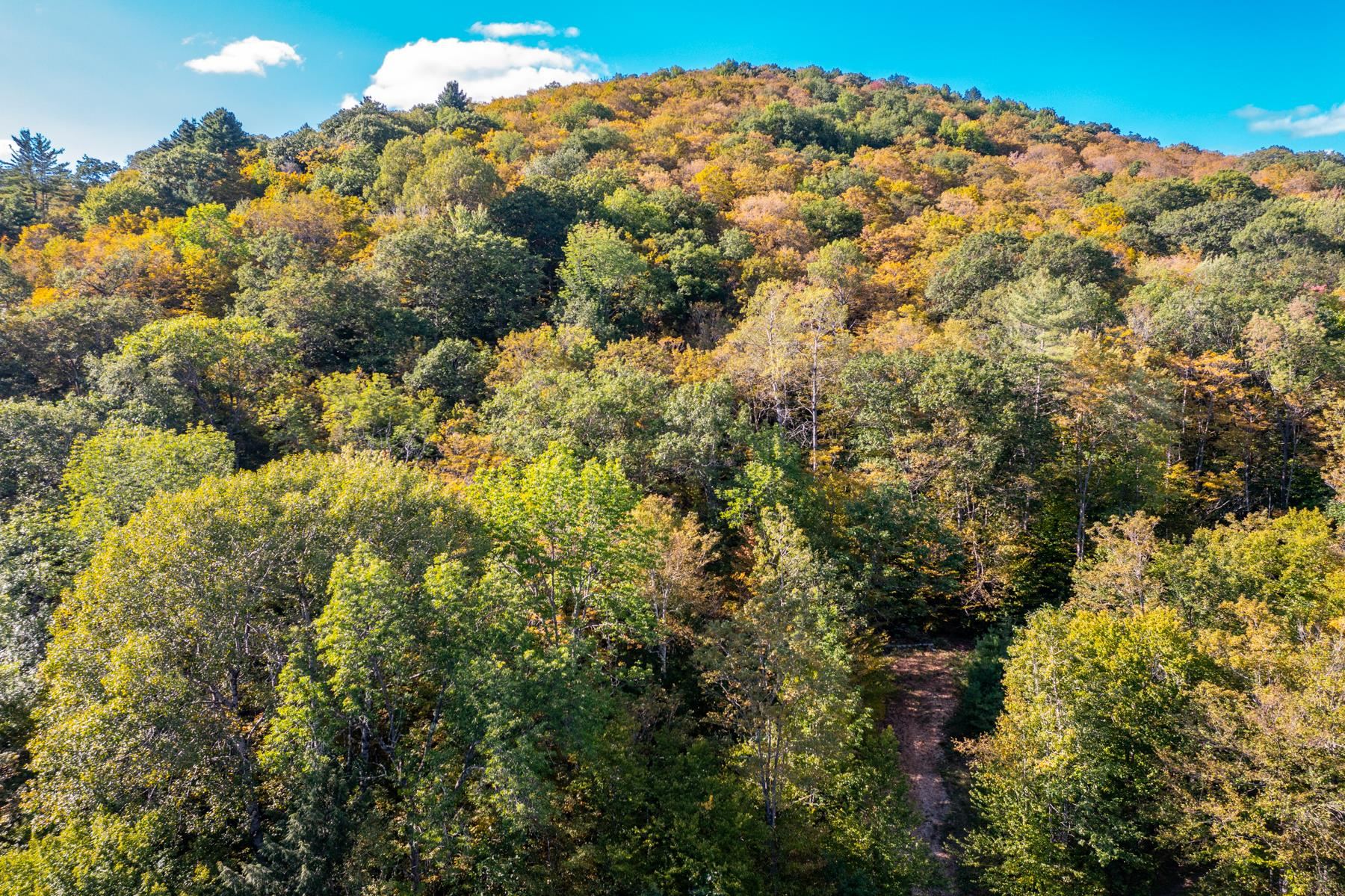 0 Granite Ledge Woodstock, VT 05091 - Photo 8 of 37