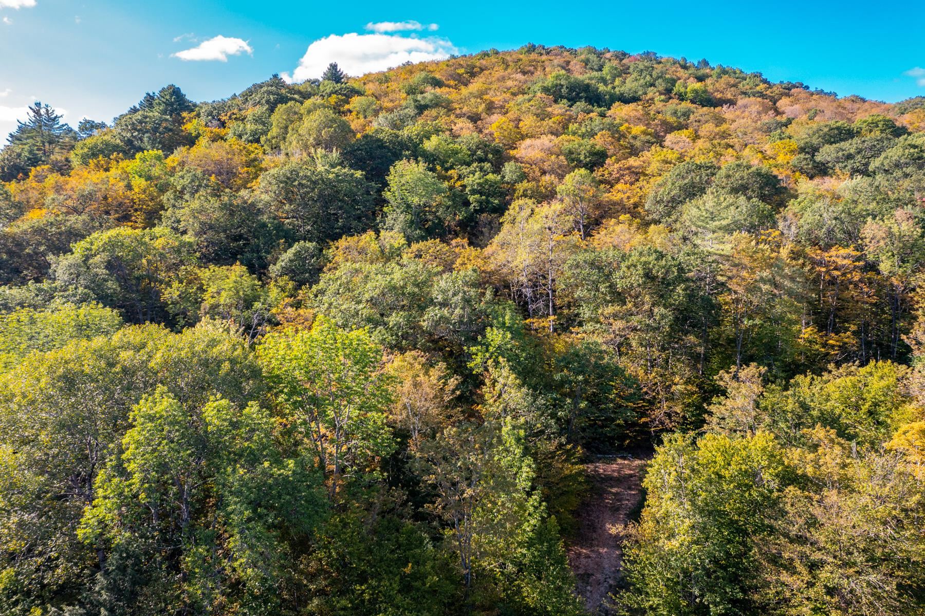 0 Granite Ledge Woodstock, VT 05091 - Photo 9 of 37