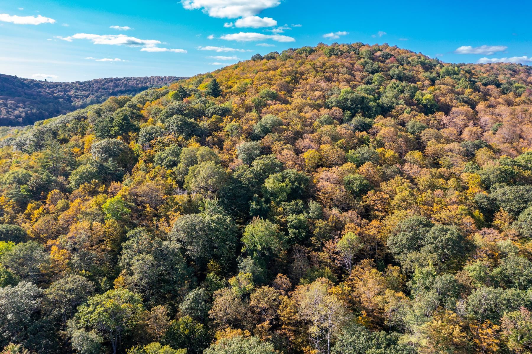 0 Granite Ledge Woodstock, VT 05091 - Photo 10 of 37