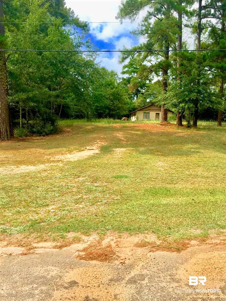 0 Hillview Drive Flomaton, AL 36441 - Photo 2 of 4