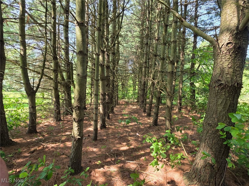 8448 Slagle Road Windham, OH 44288 - Photo 43 of 48 Gallery Image 43