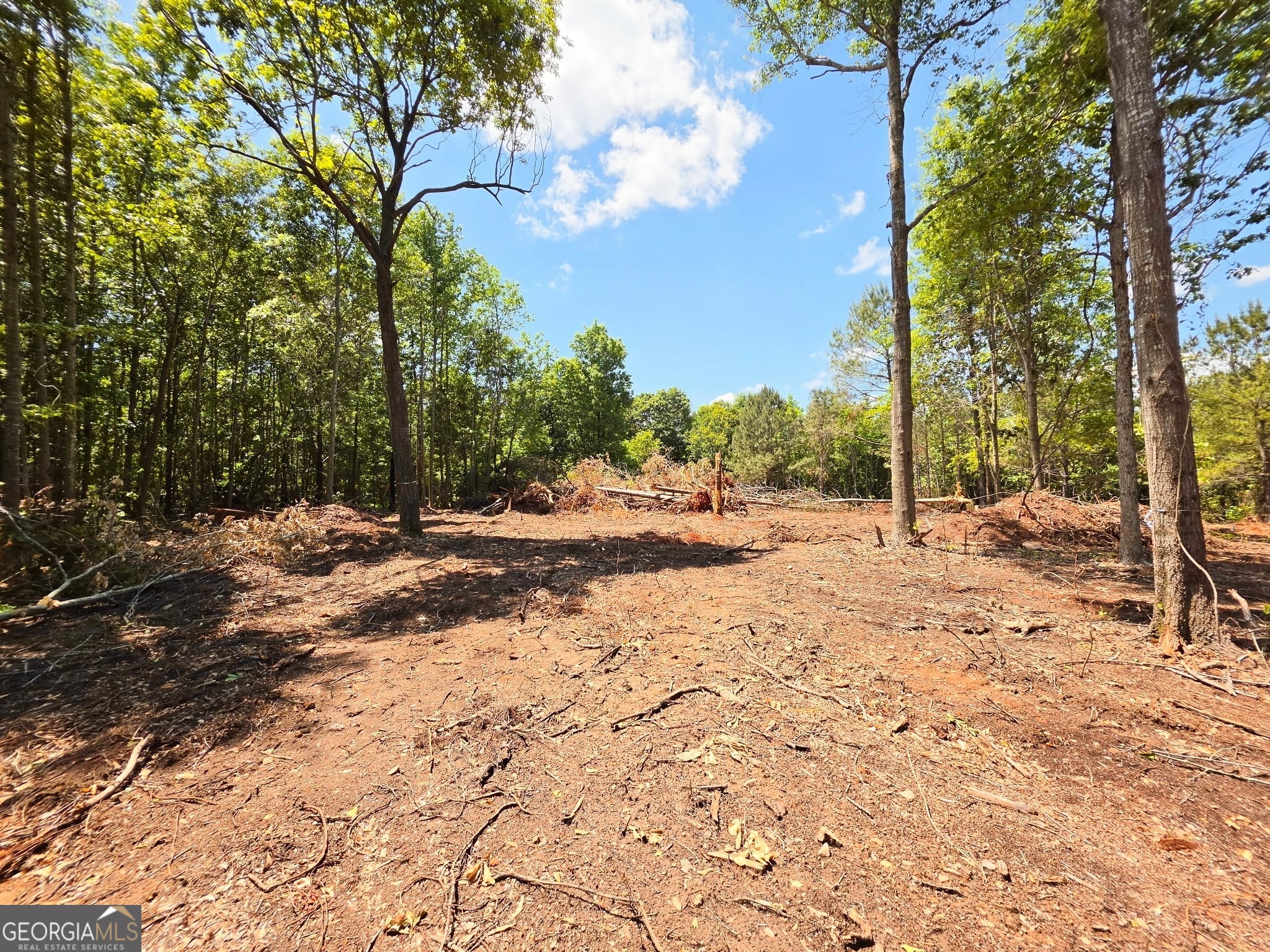 148 Berry Road, Unit LOT 12A Barnesville, GA 30204 - Photo 1 of 6 a view of yard with trees