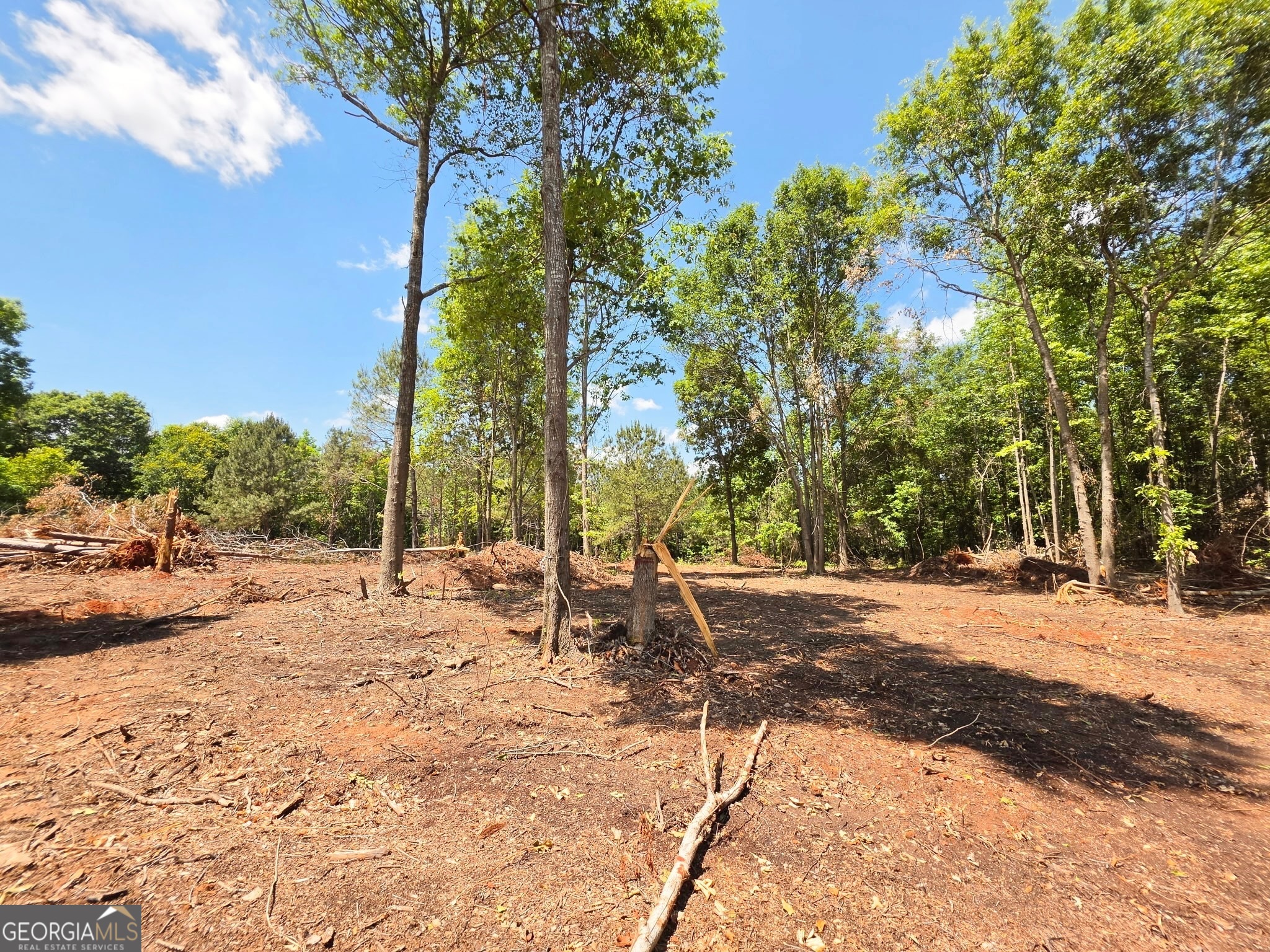 148 Berry Road, Unit LOT 12A Barnesville, GA 30204 - Photo 2 of 6 a view of a backyard of a house