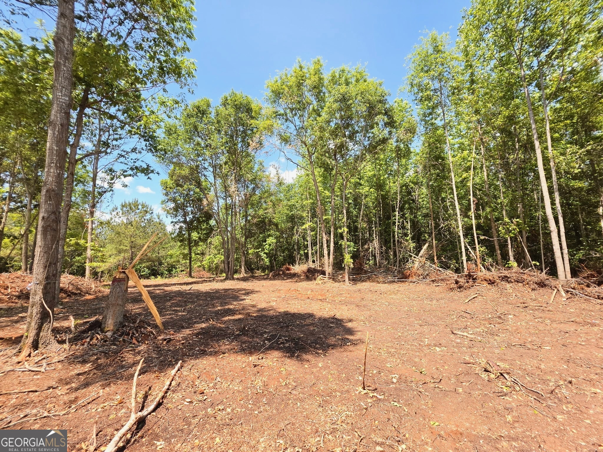 148 Berry Road, Unit LOT 12A Barnesville, GA 30204 - Photo 4 of 6 a view of a yard with plants and trees