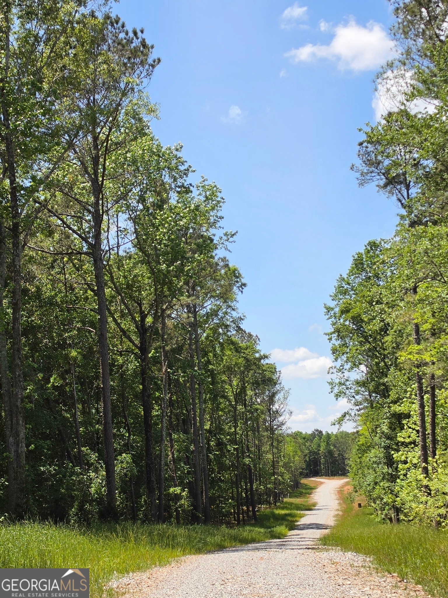 148 Berry Road, Unit LOT 12A Barnesville, GA 30204 - Photo 5 of 6 a view of a yard with plants and trees