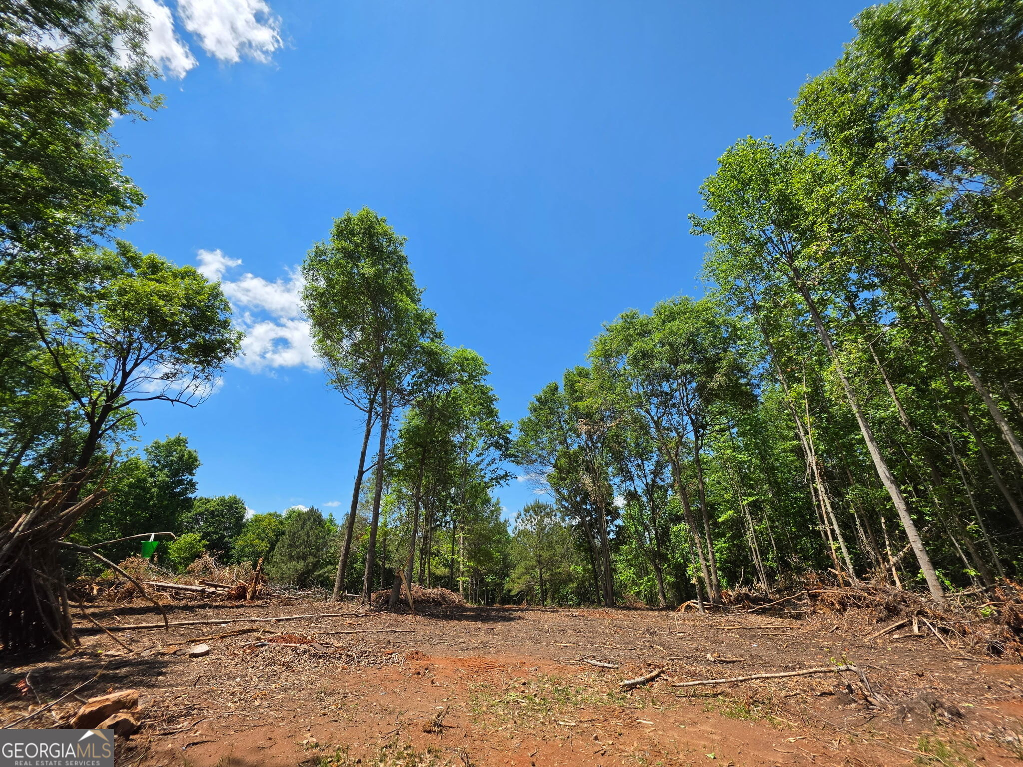 148 Berry Road, Unit LOT 12A Barnesville, GA 30204 - Photo 6 of 6 a view of backyard with green space