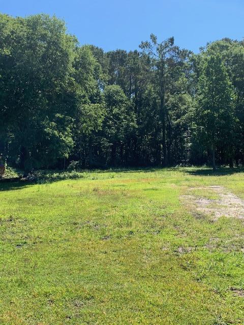 316 Woodland Shores Road Charleston, SC 29412 - Photo 9 of 12 IMG_5583