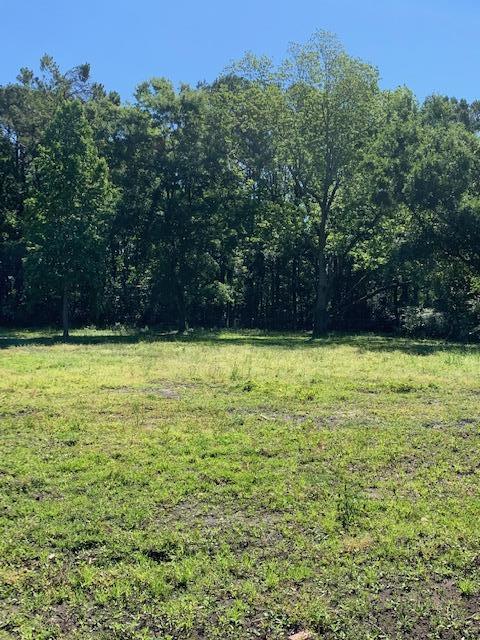 316 Woodland Shores Road Charleston, SC 29412 - Photo 10 of 12 IMG_5584