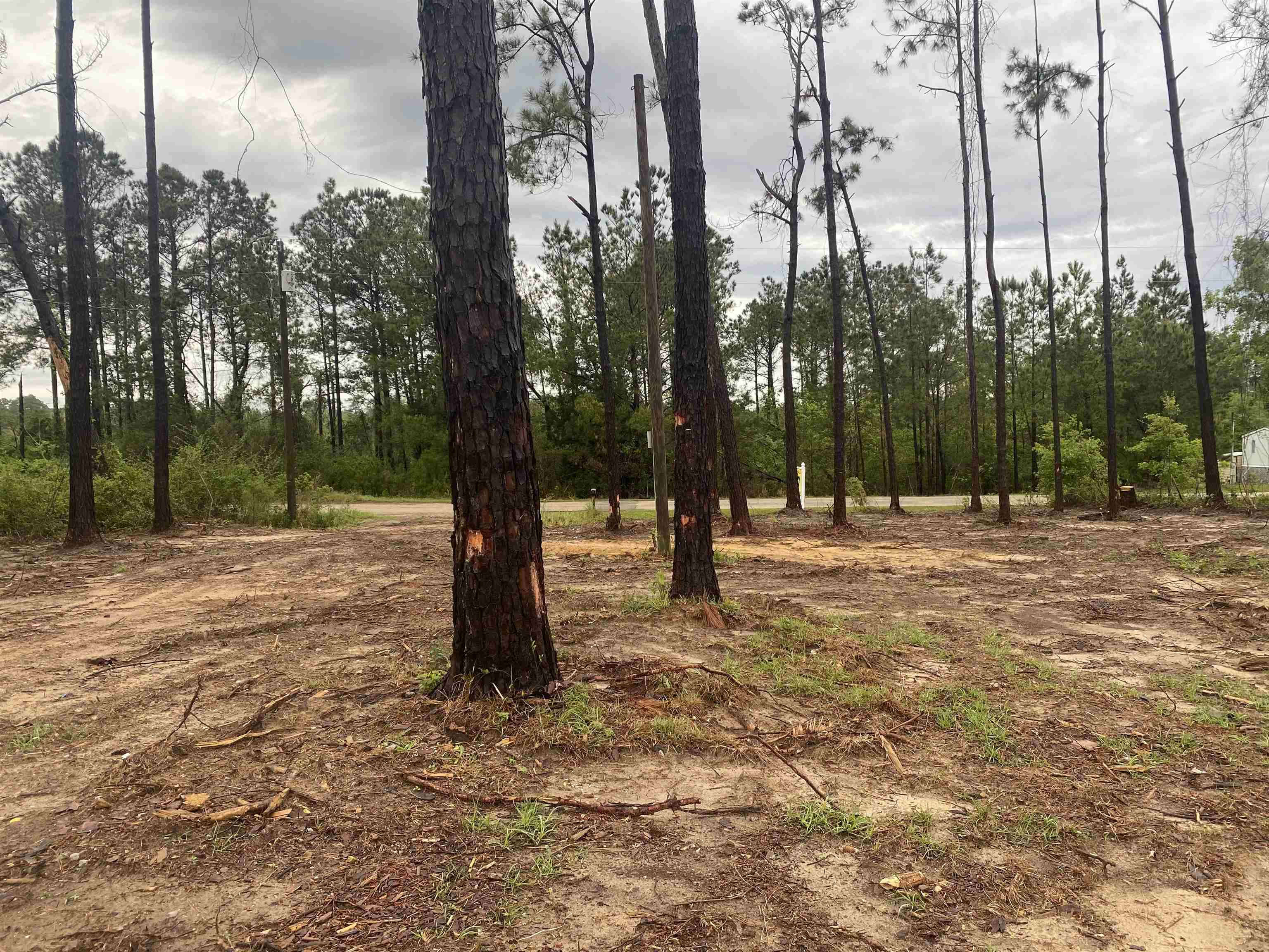 29398 Dove Lane Elberta, AL 36530 - Photo 2 of 2