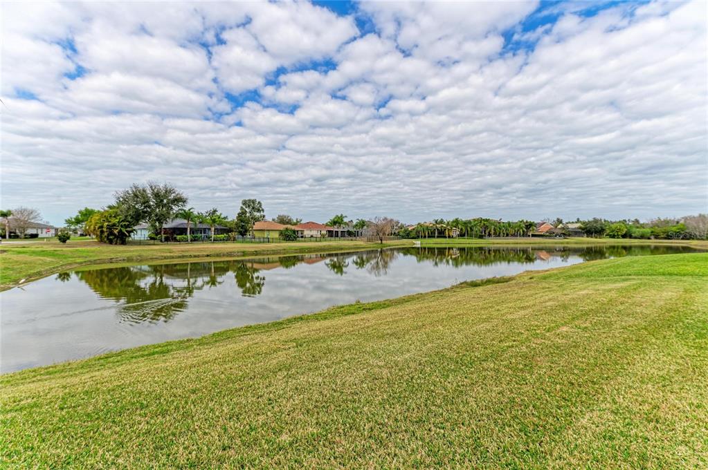 302 Cockle Shell Loop Apollo Beach, FL 33572 - Photo 64 of 75 a view of a lake with a big yard