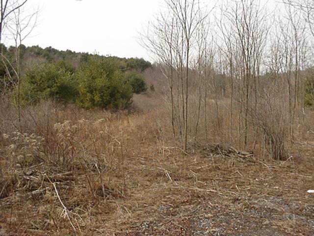 Lot 2 Gilbert Road Effort, PA 18330 - Photo 1 of 2 a view of a dry yard with trees in the background
