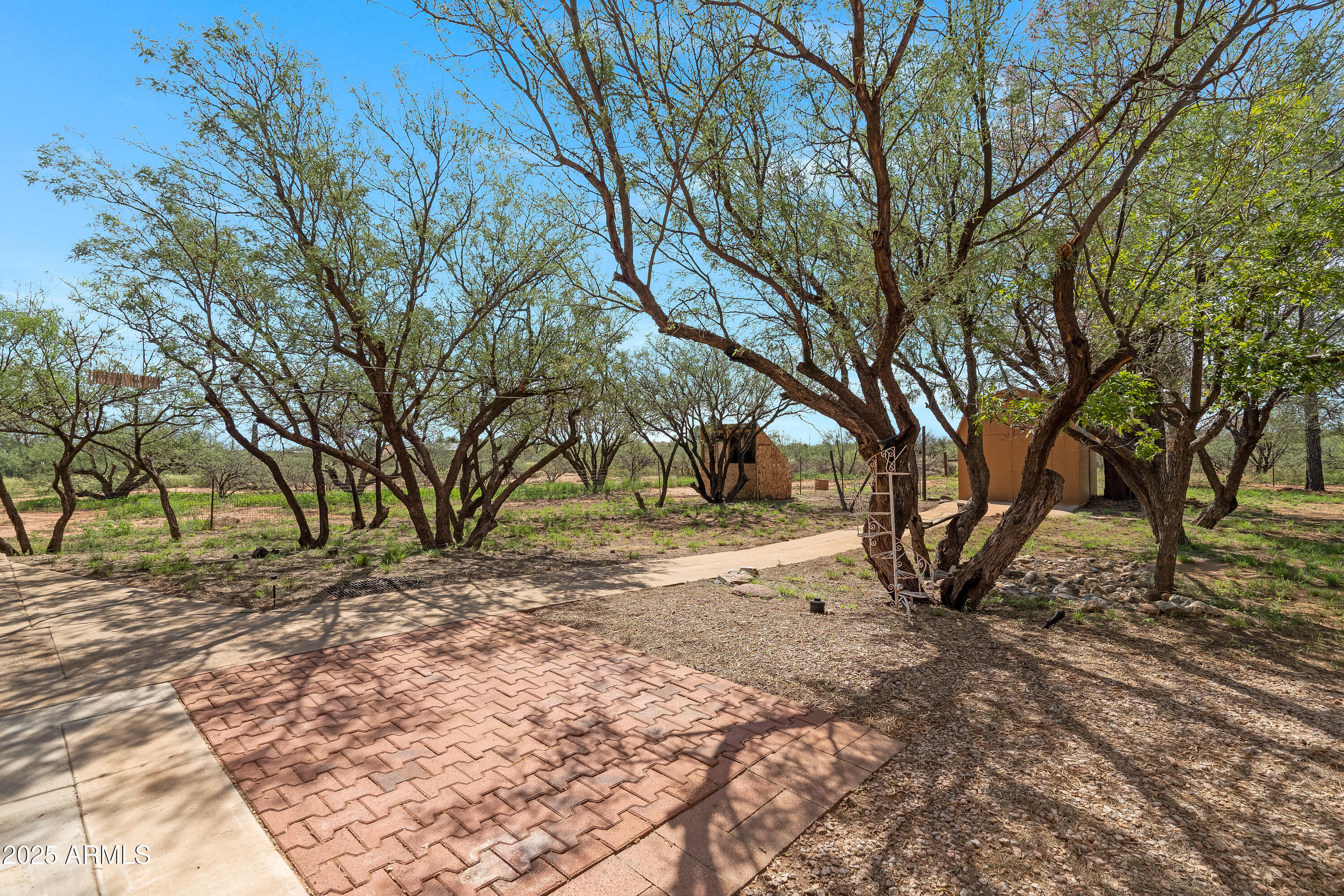 8264 East Dakota Road Hereford, AZ 85615 - Photo 34 of 45 4 Backyard-2