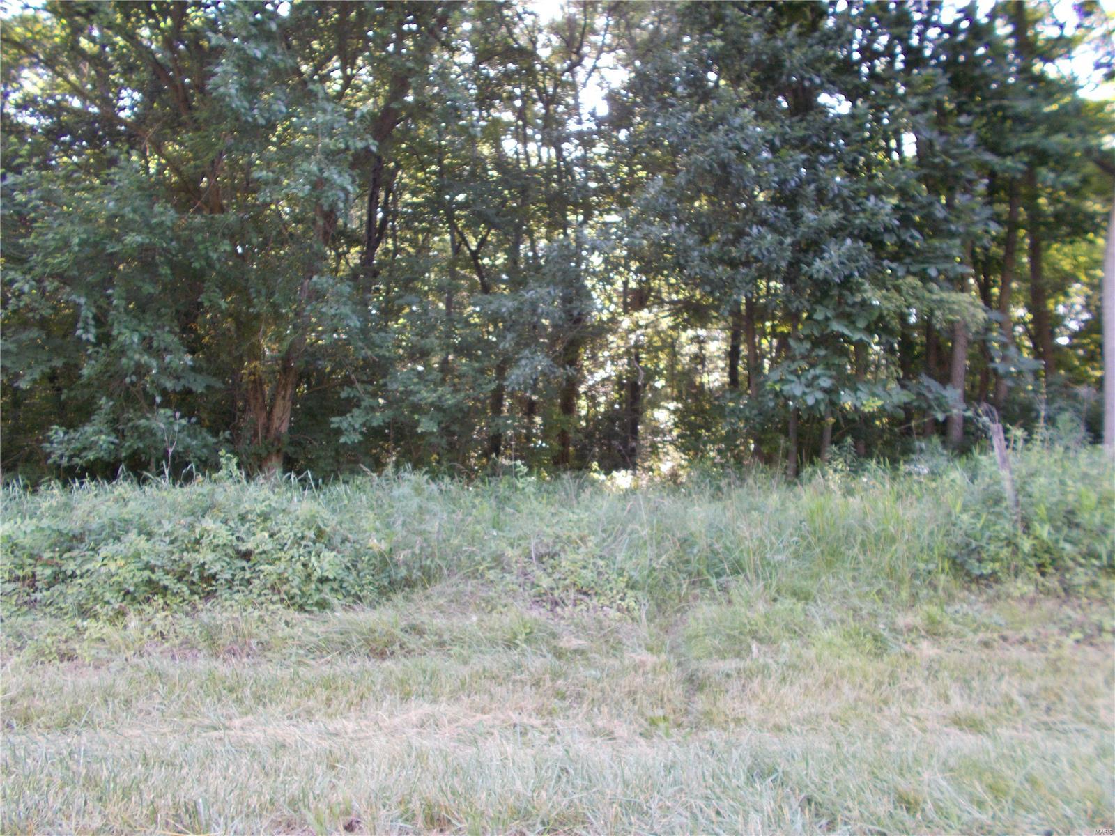 0 Polk Road Nashville, IL 62263 - Photo 3 of 9