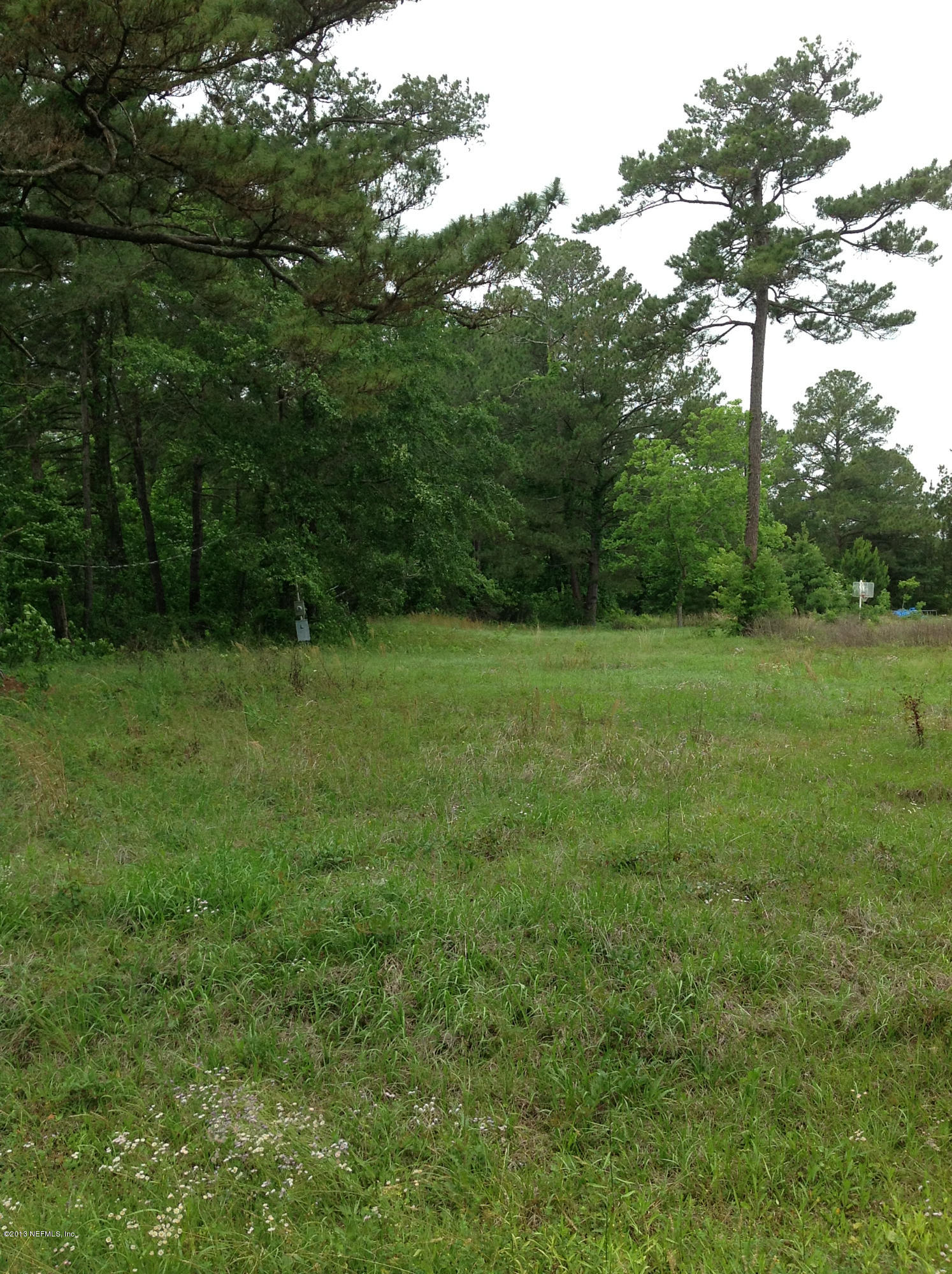 4245 Rues Landing Road St. Augustine, FL 32092 - Photo 1 of 5 a view of grassy field with trees