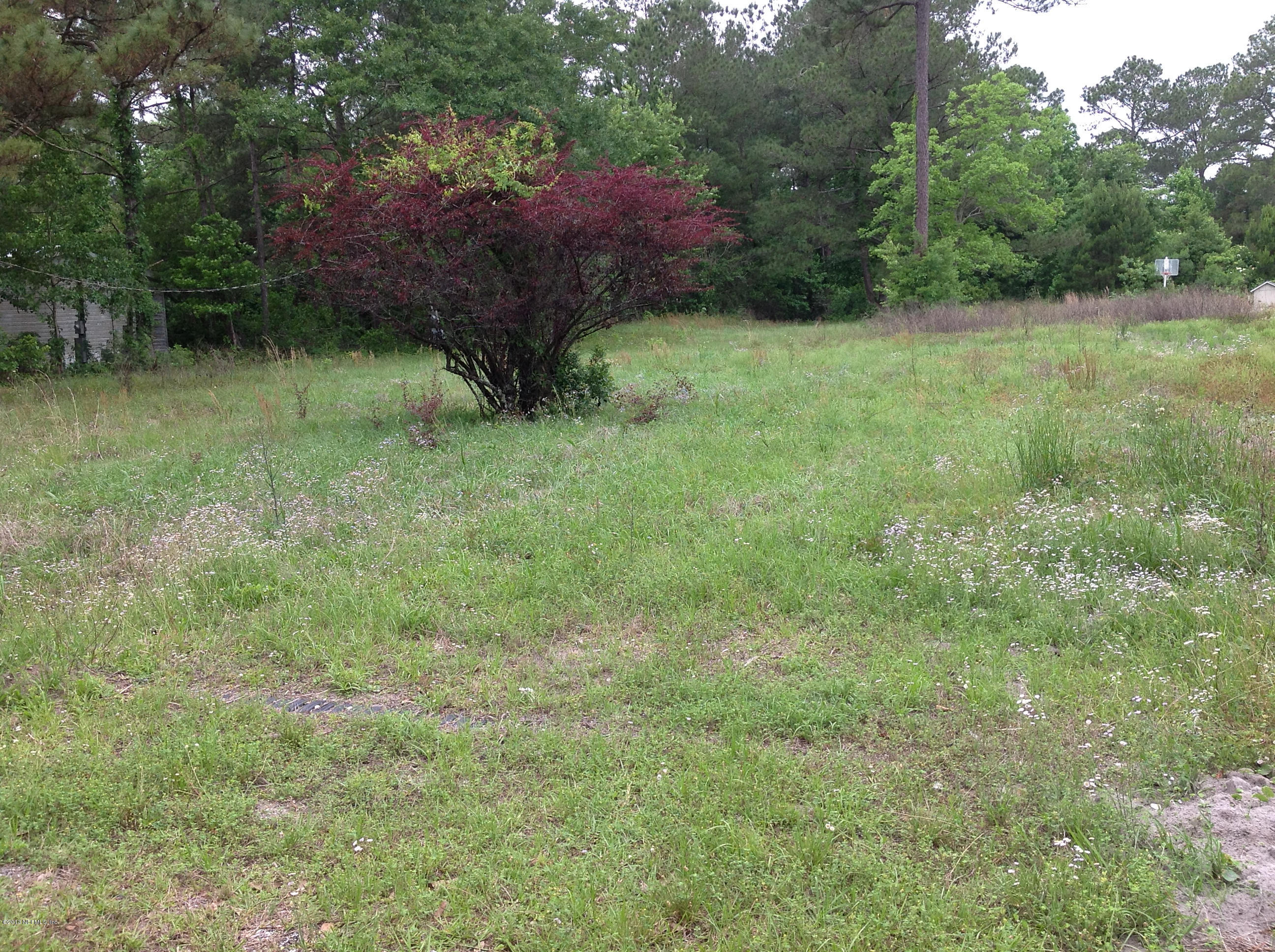 4245 Rues Landing Road St. Augustine, FL 32092 - Photo 2 of 5 a view of outdoor space and yard