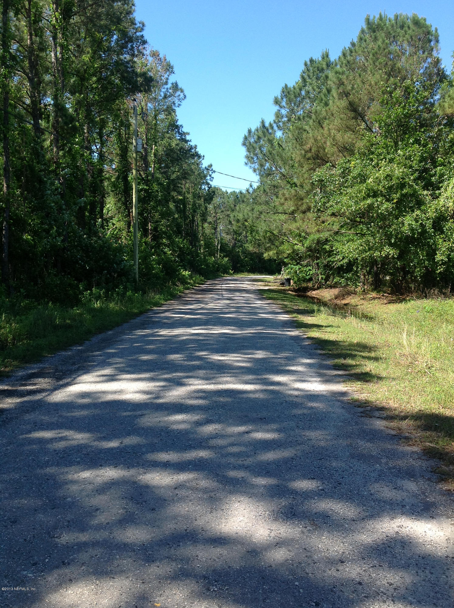 4245 Rues Landing Road St. Augustine, FL 32092 - Photo 3 of 5 a view of a yard with a large trees