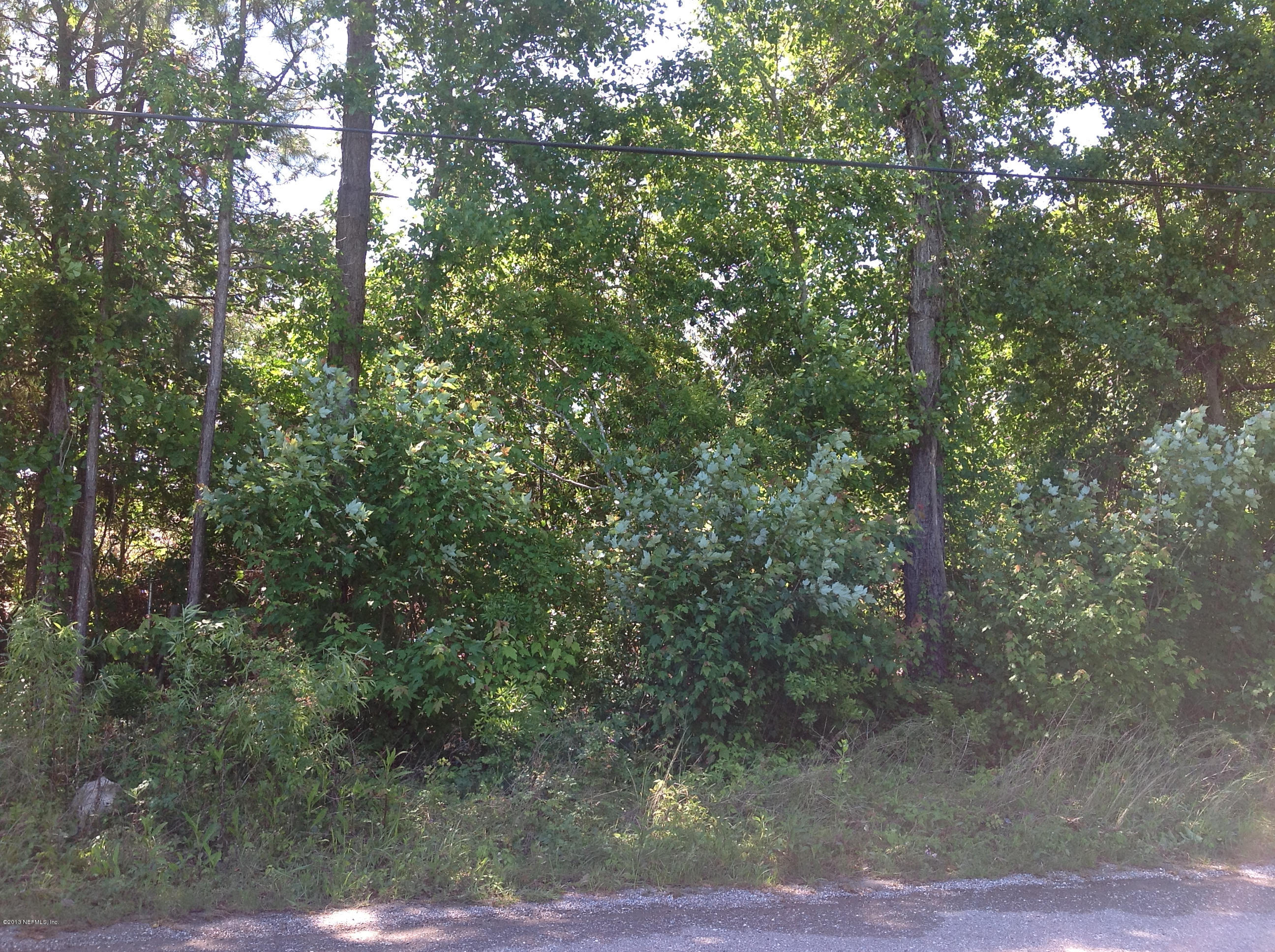 4245 Rues Landing Road St. Augustine, FL 32092 - Photo 4 of 5 a view of a forest with trees in front of it