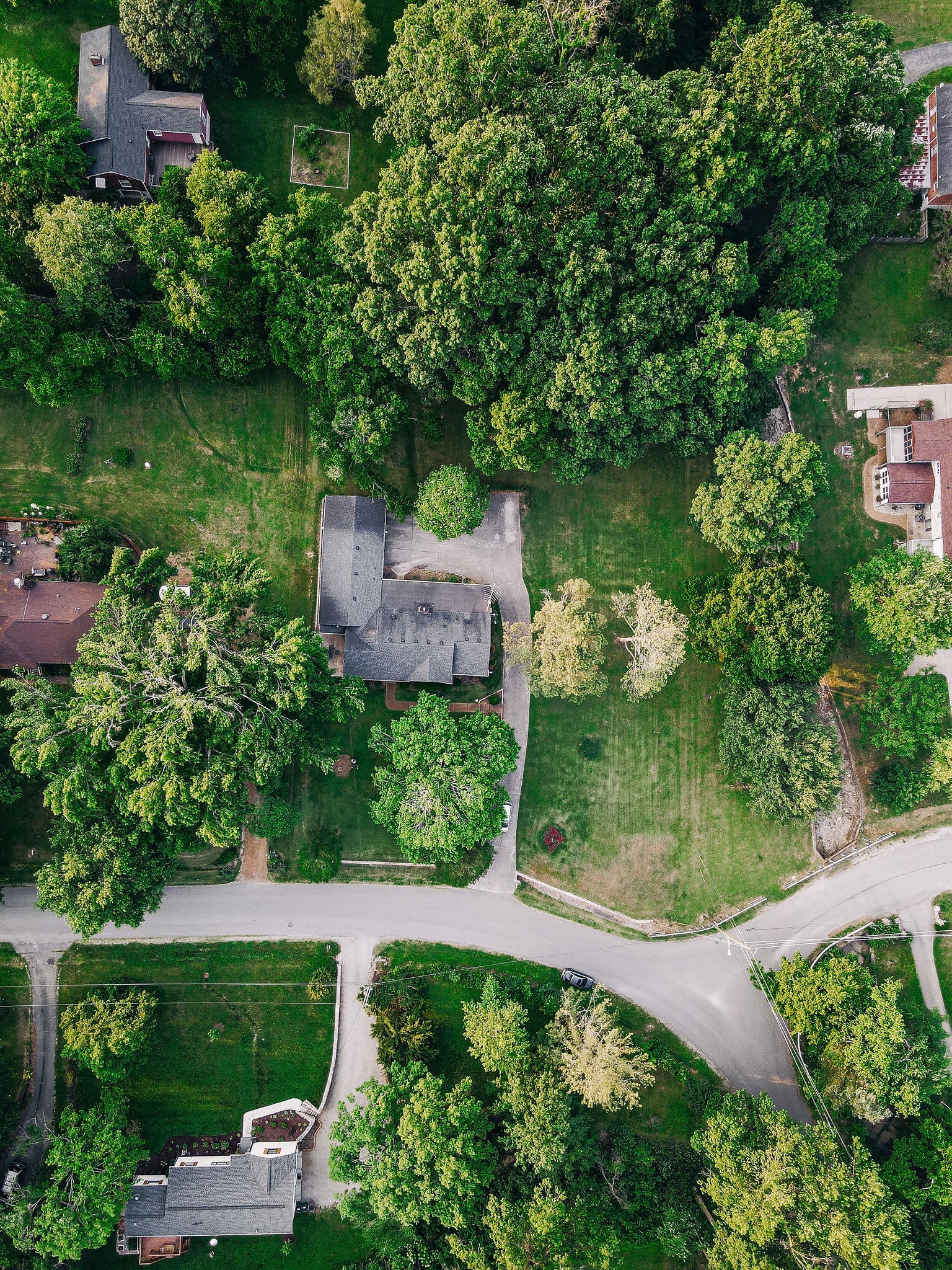 805 Vantrease Road Madison, TN 37115 - Photo 14 of 60 an aerial view of a house with a yard and lake view