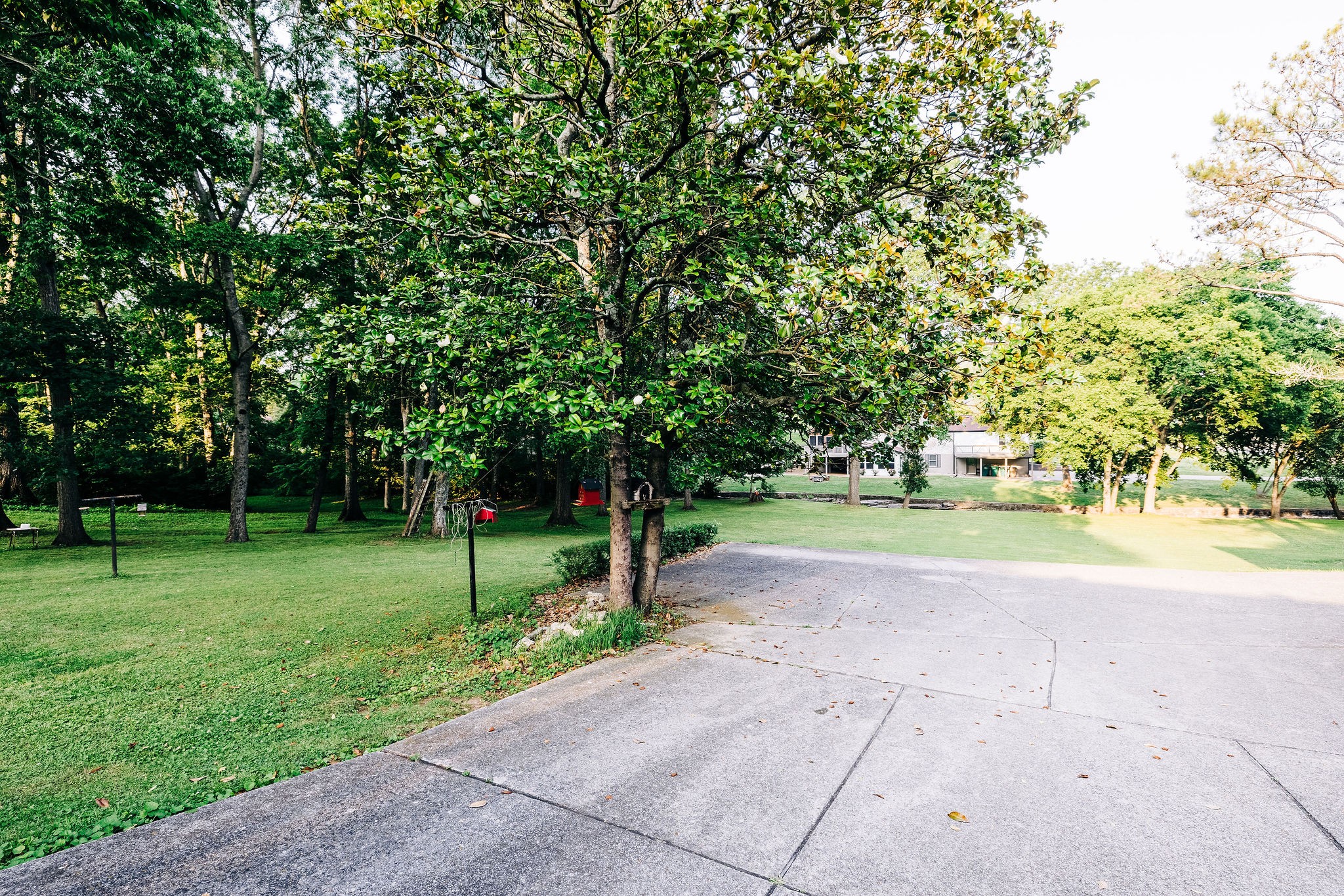 805 Vantrease Road Madison, TN 37115 - Photo 58 of 60 a view of a park with large trees