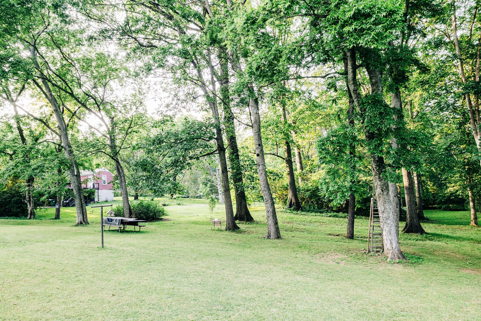 805 Vantrease Road Madison, TN 37115 - Photo 59 of 60