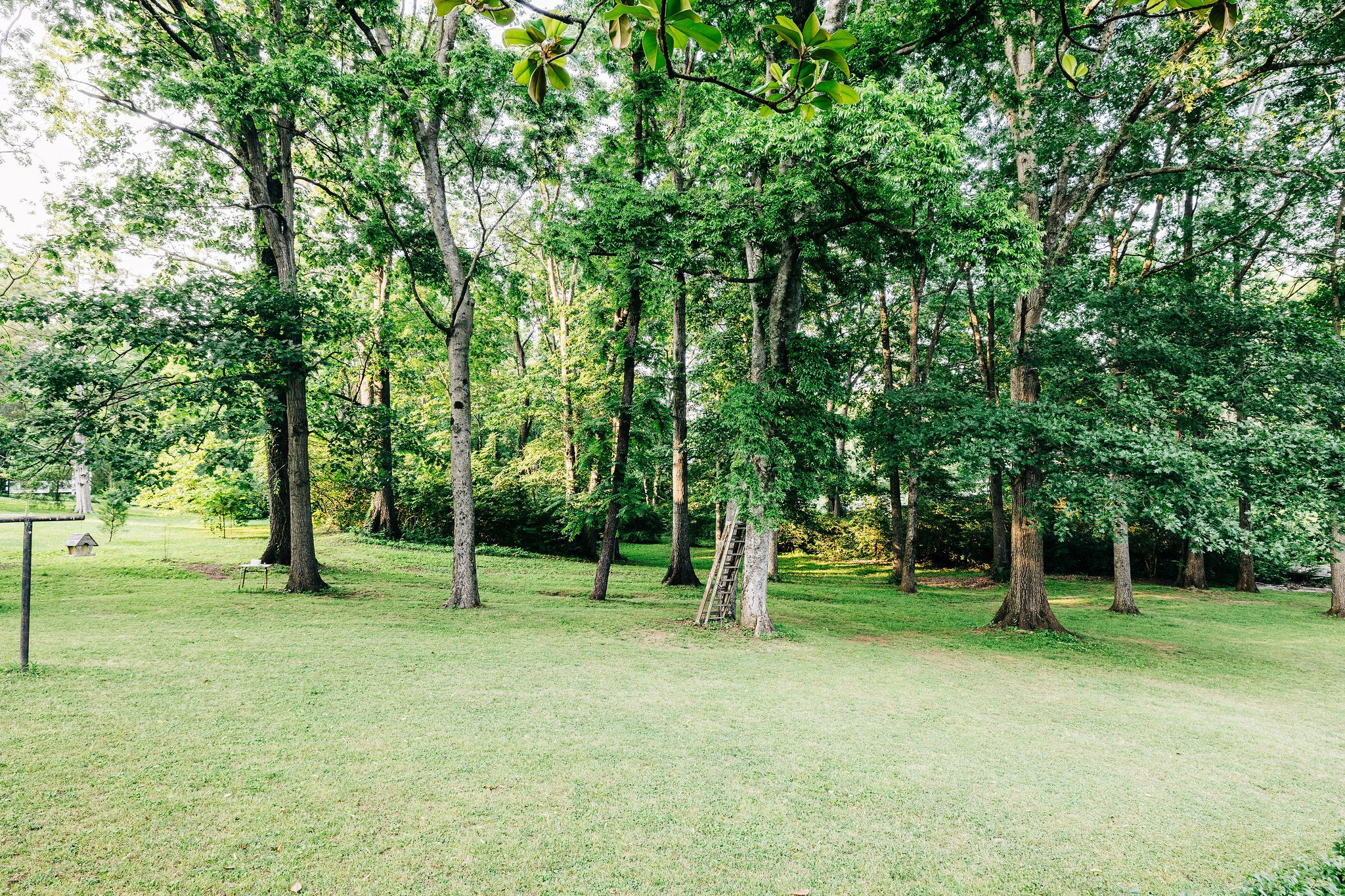 805 Vantrease Road Madison, TN 37115 - Photo 60 of 60 a view of outdoor space with deck and a garden