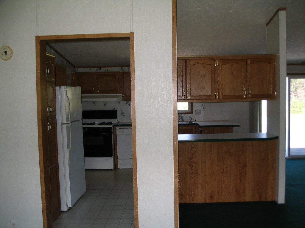11146 Johnson Road Brethren, MI 49619 - Photo 10 of 60 1800705-9.JPG