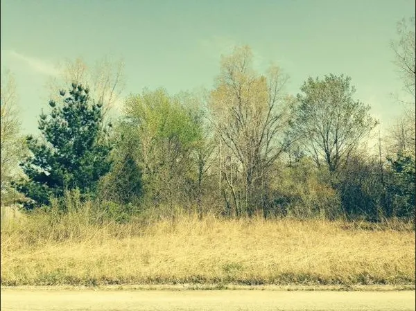 $37,500 | 0 Springland Avenue, Michigan City, IN 46360