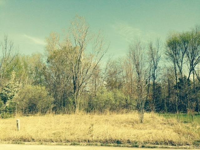 0 Springland Avenue Michigan City, IN 46360 - Photo 2 of 7 639x478