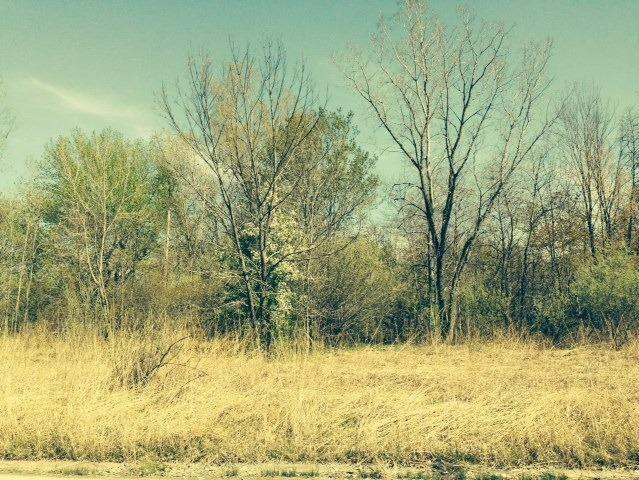 0 Springland Avenue Michigan City, IN 46360 - Photo 3 of 7 639x480