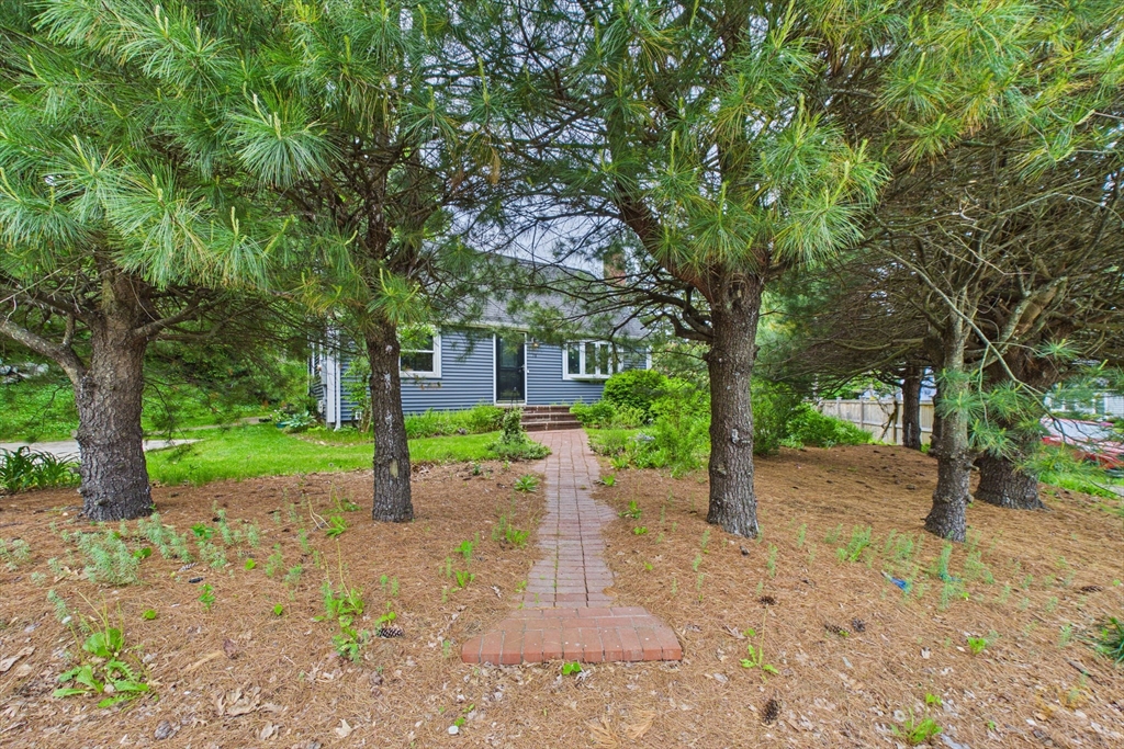 70 Neponset Street Canton, MA 02021 - Photo 35 of 39 a view of a house with a backyard