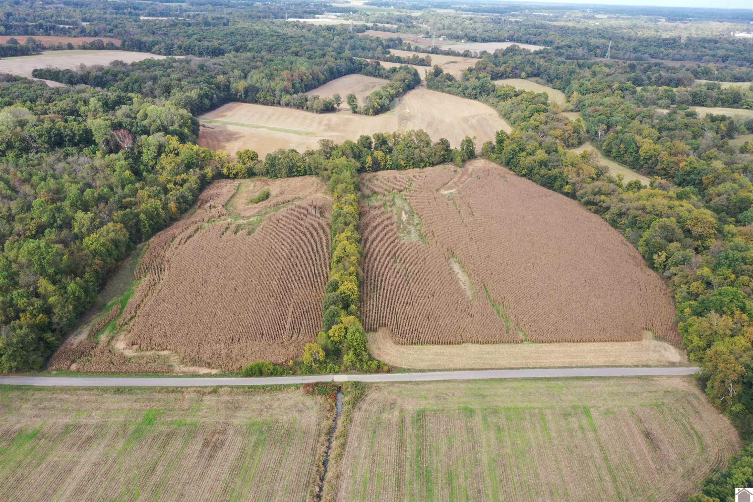 0 Swan Road Murray, KY 42071 - Photo 1 of 2 Photo 1