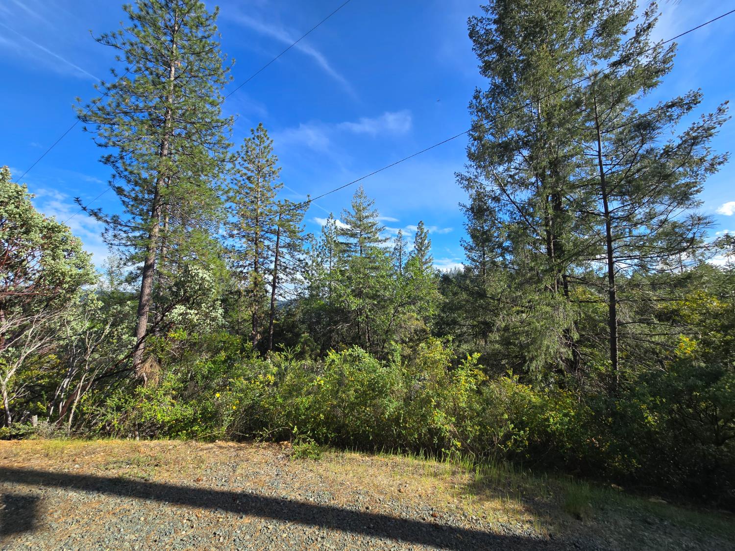 0 P C Lane Colfax, CA 95713 - Photo 3 of 8 a view of a yard with potted plants and large trees